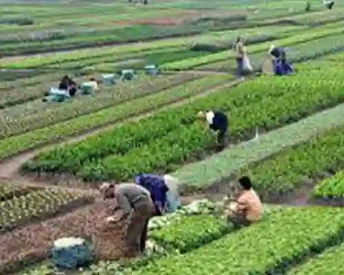 Sacred Land Protection